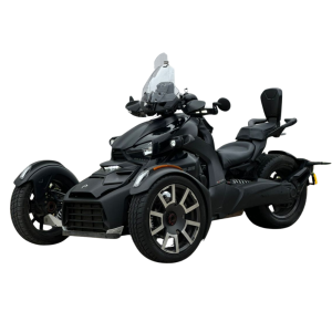 Can-Am Ryker 900 Ace 2020