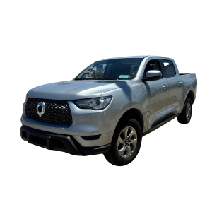 Great Wall Poer 2022